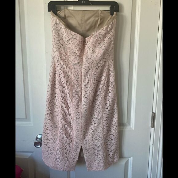 Corded Lace Sheath J. Mendel  color Blush - Picture 9 of 10